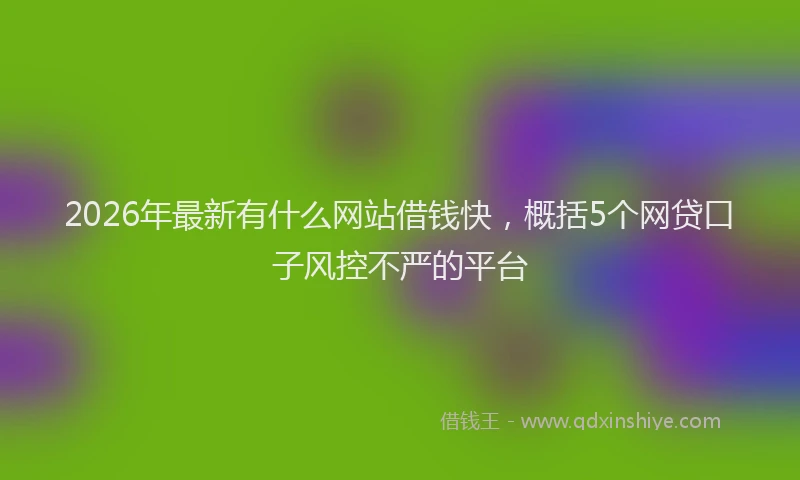 2026年最新有什么网站借钱快，概括5个网贷口子风控不严的平台