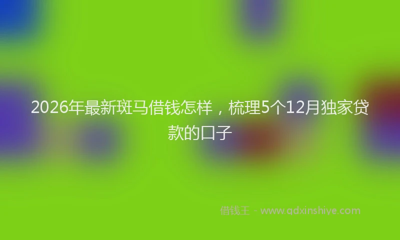 2026年最新斑马借钱怎样，梳理5个12月独家贷款的口子