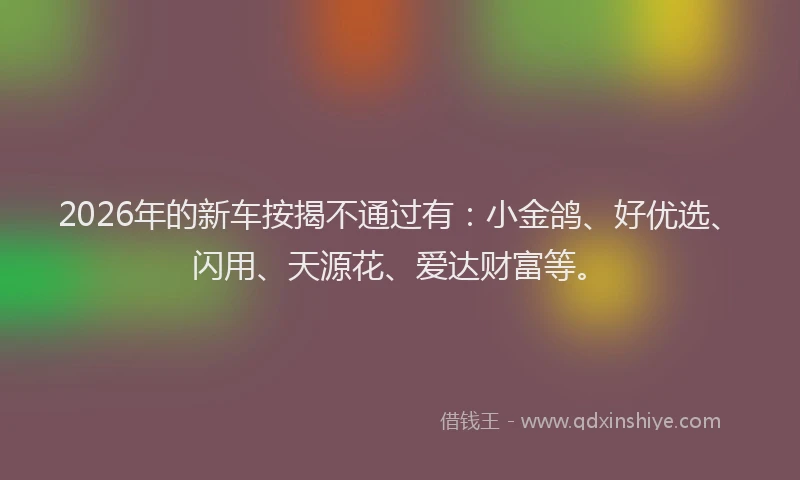 2026年的新车按揭不通过有：小金鸽、好优选、闪用、天源花、爱达财富等。