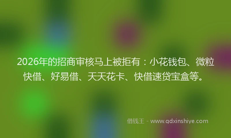 2026年的招商审核马上被拒有：小花钱包、微粒快借、好易借、天天花卡、快借速贷宝盒等。