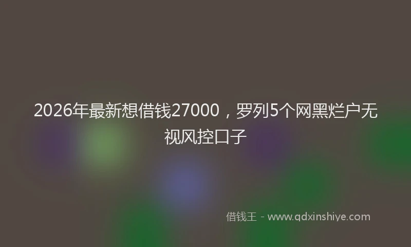 2026年最新想借钱27000，罗列5个网黑烂户无视风控口子