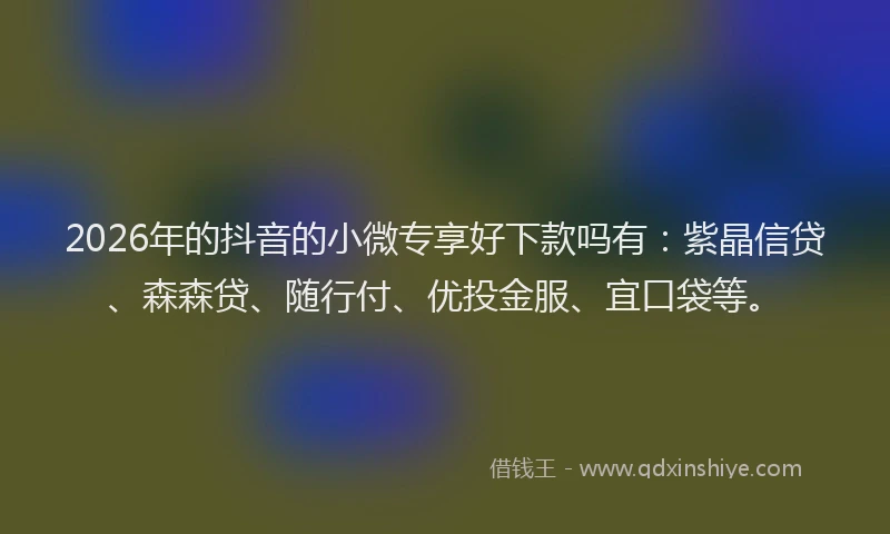 2026年的抖音的小微专享好下款吗有：紫晶信贷、森森贷、随行付、优投金服、宜口袋等。