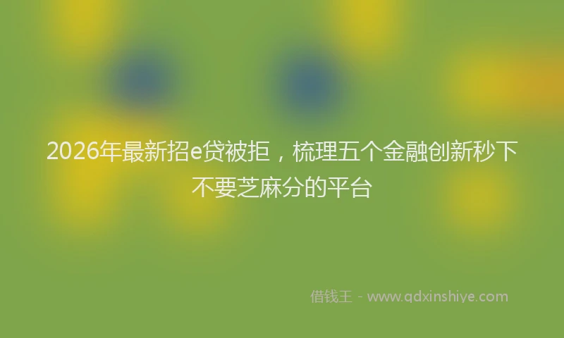 2026年最新招e贷被拒，梳理五个金融创新秒下不要芝麻分的平台