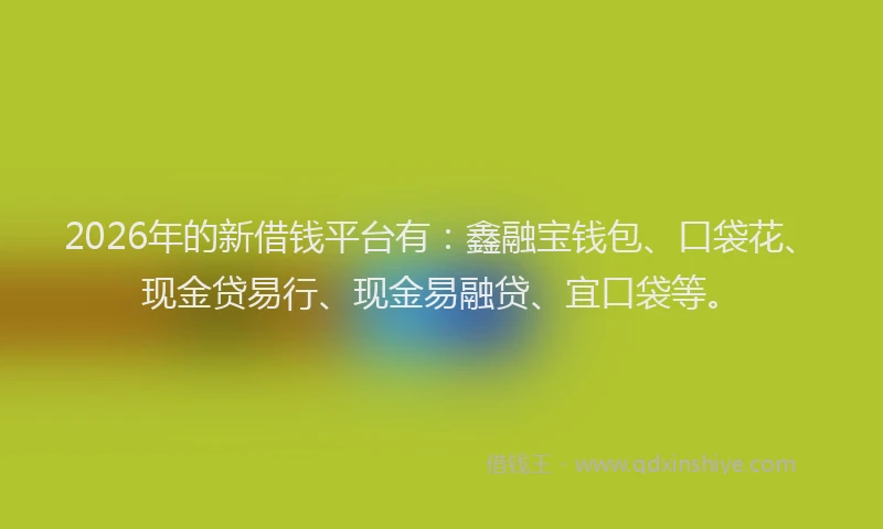 2026年的新借钱平台有：鑫融宝钱包、口袋花、现金贷易行、现金易融贷、宜口袋等。