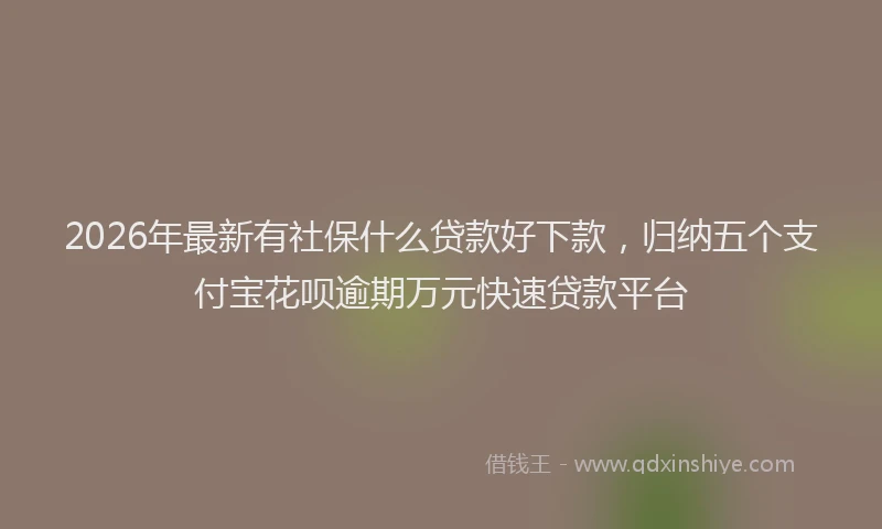 2026年最新有社保什么贷款好下款，归纳五个支付宝花呗逾期万元快速贷款平台