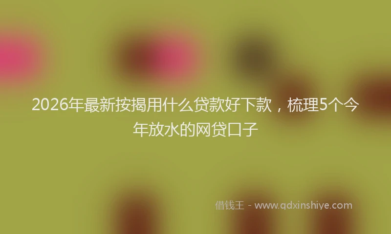 2026年最新按揭用什么贷款好下款，梳理5个今年放水的网贷口子