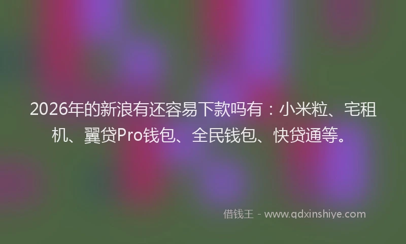 2026年的新浪有还容易下款吗有：小米粒、宅租机、翼贷Pro钱包、全民钱包、快贷通等。