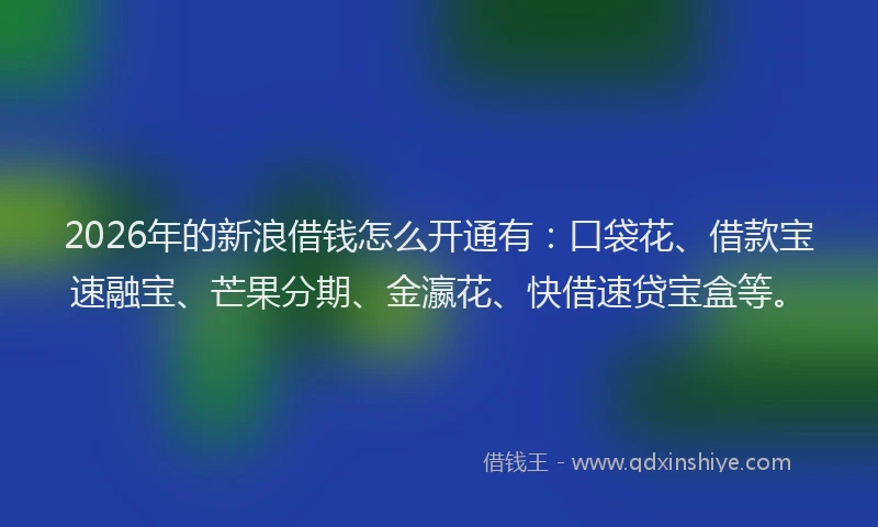 2026年的新浪借钱怎么开通有：口袋花、借款宝速融宝、芒果分期、金瀛花、快借速贷宝盒等。