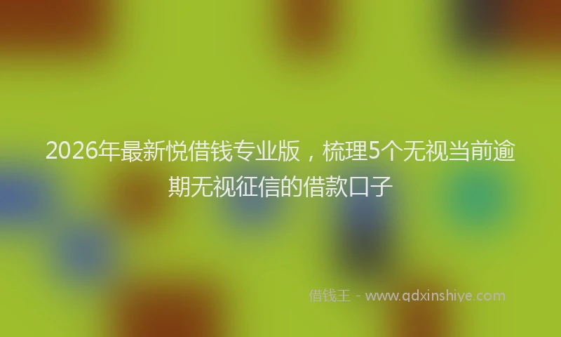 2026年最新悦借钱专业版，梳理5个无视当前逾期无视征信的借款口子