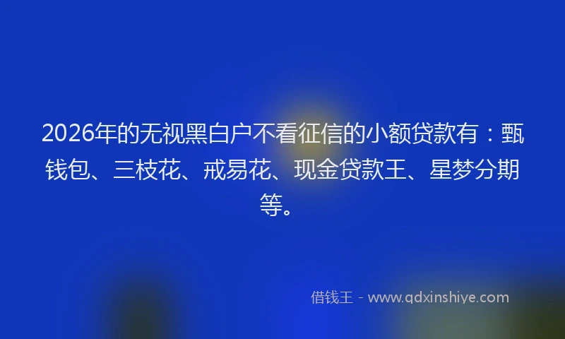 2026年的无视黑白户不看征信的小额贷款有：甄钱包、三枝花、戒易花、现金贷款王、星梦分期等。