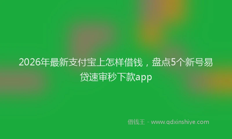 2026年最新支付宝上怎样借钱，盘点5个新号易贷速审秒下款app