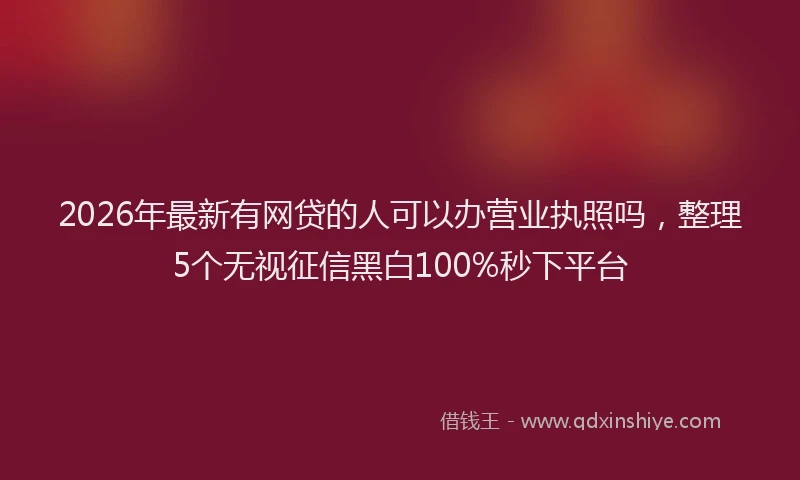 2026年最新有网贷的人可以办营业执照吗，整理5个无视征信黑白100%秒下平台