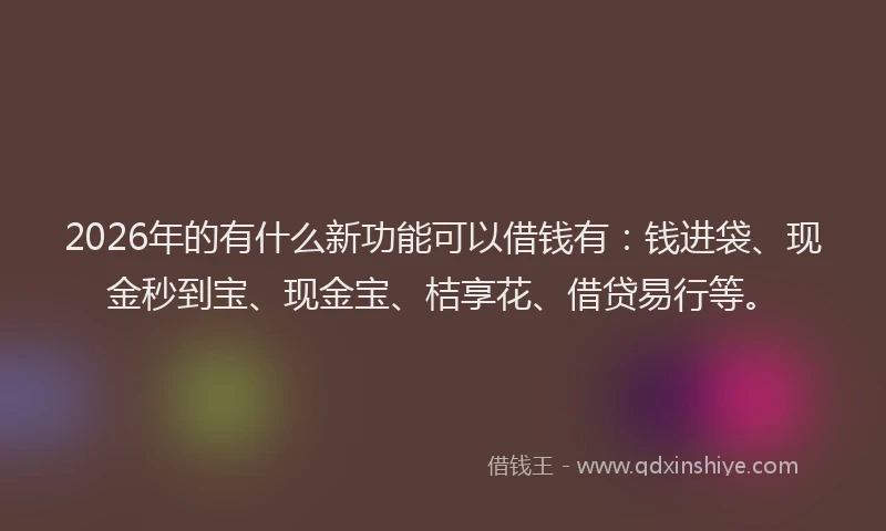 2026年的有什么新功能可以借钱有：钱进袋、现金秒到宝、现金宝、桔享花、借贷易行等。