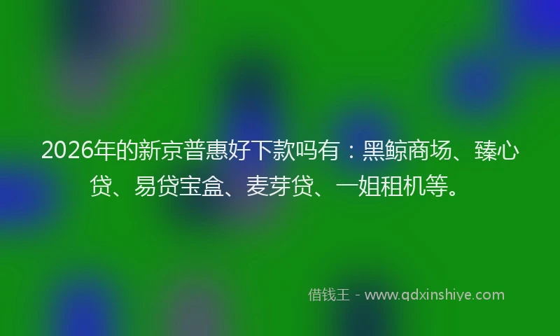 2026年的新京普惠好下款吗有：黑鲸商场、臻心贷、易贷宝盒、麦芽贷、一姐租机等。