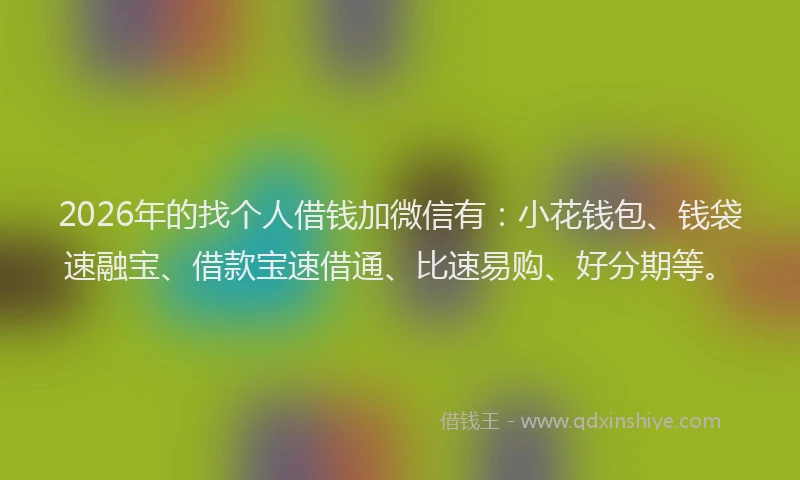 2026年的找个人借钱加微信有：小花钱包、钱袋速融宝、借款宝速借通、比速易购、好分期等。