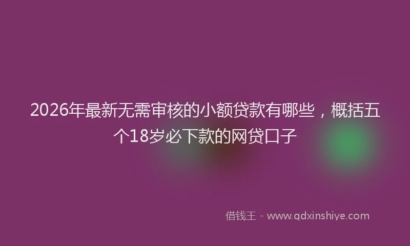 2026年最新无需审核的小额贷款有哪些，概括五个18岁必下款的网贷口子