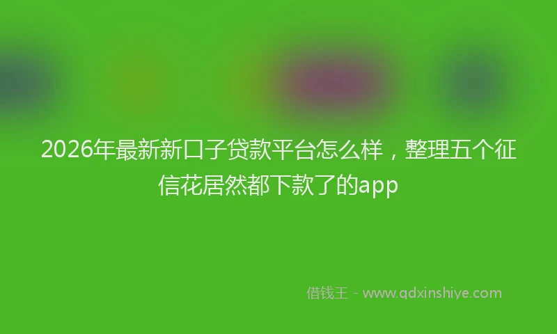 2026年最新新口子贷款平台怎么样，整理五个征信花居然都下款了的app