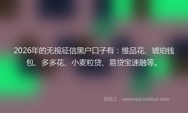 2026年的无视征信黑户口子有：维品花、琥珀钱包、多多花、小麦粒贷、易贷宝速融等。