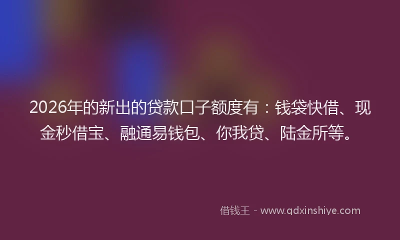 2026年的新出的贷款口子额度有：钱袋快借、现金秒借宝、融通易钱包、你我贷、陆金所等。