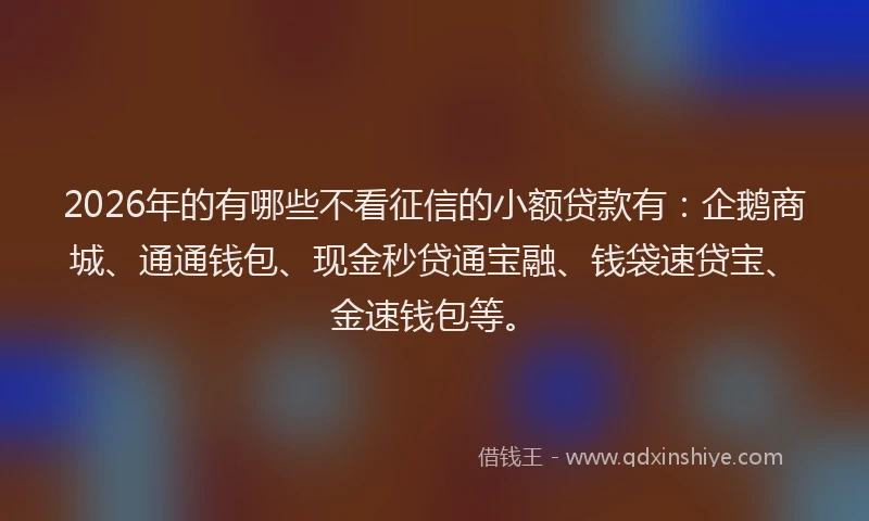 2026年的有哪些不看征信的小额贷款有：企鹅商城、通通钱包、现金秒贷通宝融、钱袋速贷宝、金速钱包等。