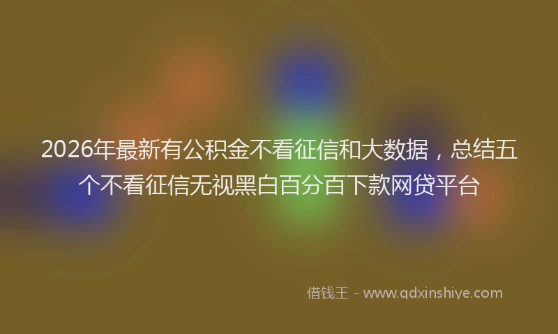 2026年最新有公积金不看征信和大数据，总结五个不看征信无视黑白百分百下款网贷平台