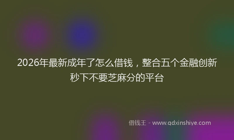 2026年最新成年了怎么借钱，整合五个金融创新秒下不要芝麻分的平台