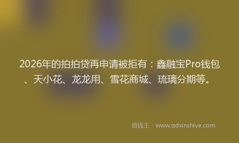 2026年的拍拍贷再申请被拒有：鑫融宝Pro钱包、天小花、龙龙用、雪花商城、琉璃分期等。