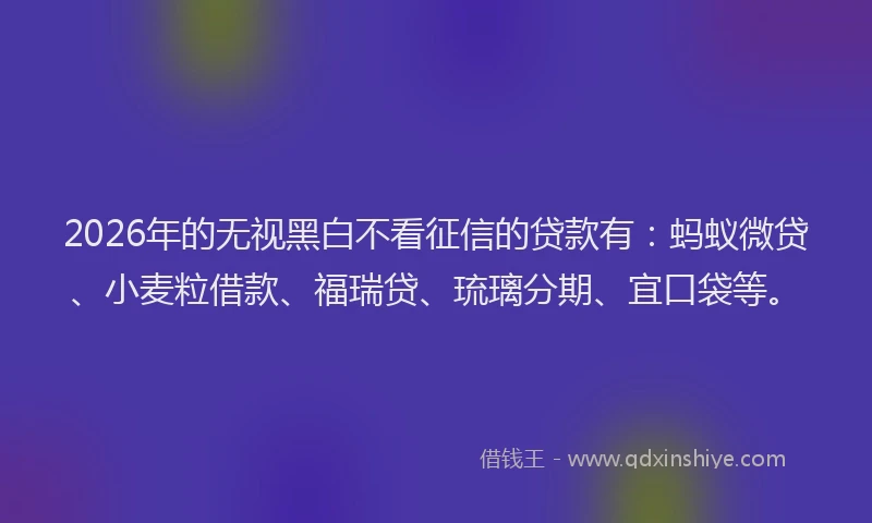 2026年的无视黑白不看征信的贷款有：蚂蚁微贷、小麦粒借款、福瑞贷、琉璃分期、宜口袋等。