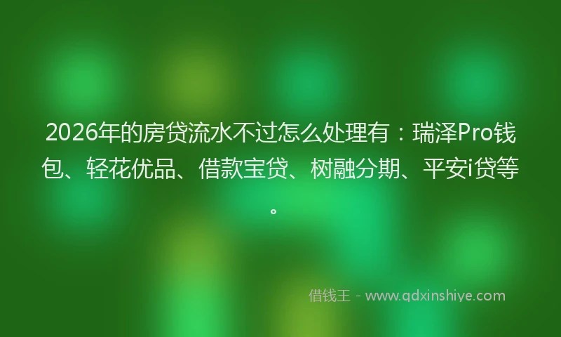 2026年的房贷流水不过怎么处理有：瑞泽Pro钱包、轻花优品、借款宝贷、树融分期、平安i贷等。