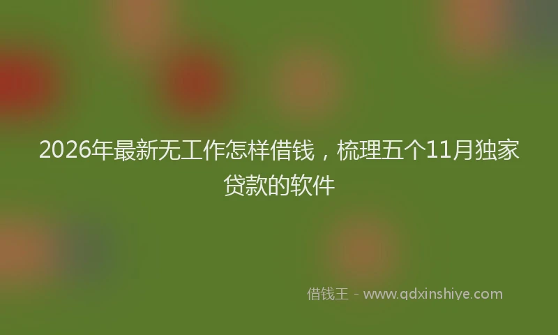 2026年最新无工作怎样借钱，梳理五个11月独家贷款的软件