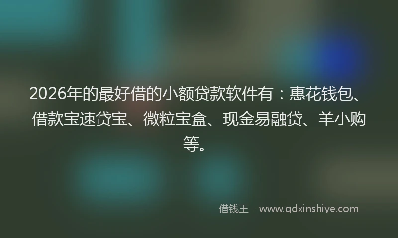 2026年的最好借的小额贷款软件有：惠花钱包、借款宝速贷宝、微粒宝盒、现金易融贷、羊小购等。
