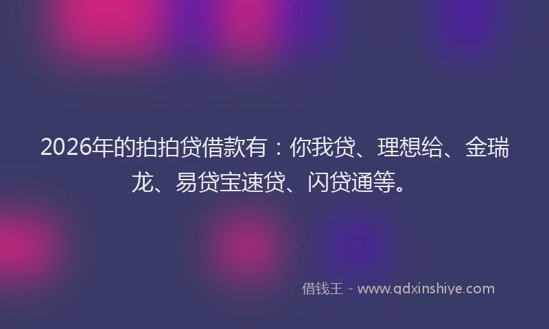 2026年的拍拍贷借款有：你我贷、理想给、金瑞龙、易贷宝速贷、闪贷通等。