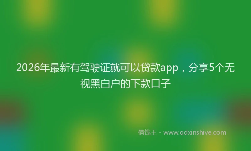 2026年最新有驾驶证就可以贷款app，分享5个无视黑白户的下款口子