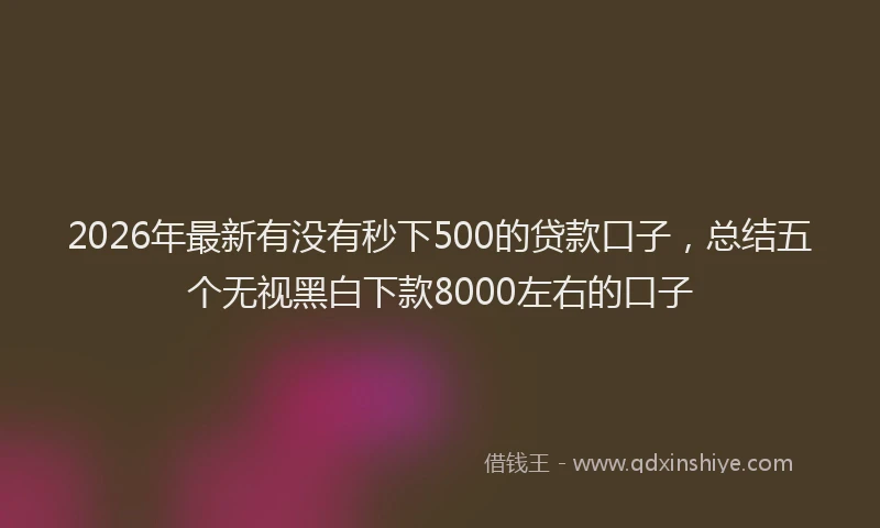 2026年最新有没有秒下500的贷款口子，总结五个无视黑白下款8000左右的口子