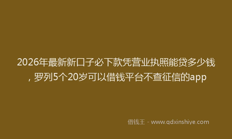 2026年最新新口子必下款凭营业执照能贷多少钱，罗列5个20岁可以借钱平台不查征信的app