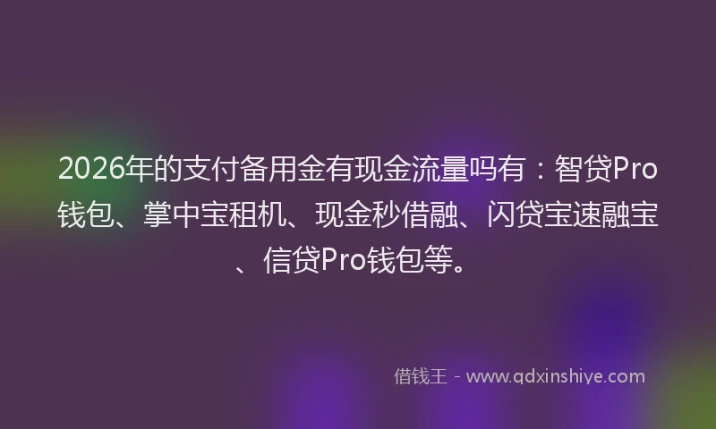 2026年的支付备用金有现金流量吗有：智贷Pro钱包、掌中宝租机、现金秒借融、闪贷宝速融宝、信贷Pro钱包等。