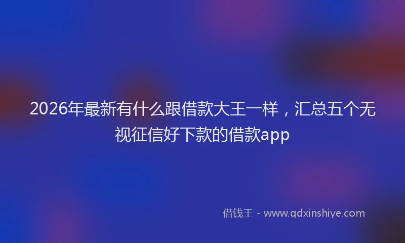 2026年最新有什么跟借款大王一样，汇总五个无视征信好下款的借款app