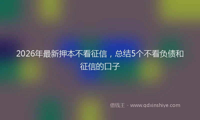 2026年最新押本不看征信，总结5个不看负债和征信的口子