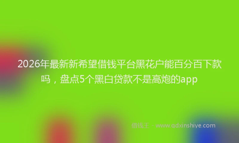 2026年最新新希望借钱平台黑花户能百分百下款吗，盘点5个黑白贷款不是高炮的app