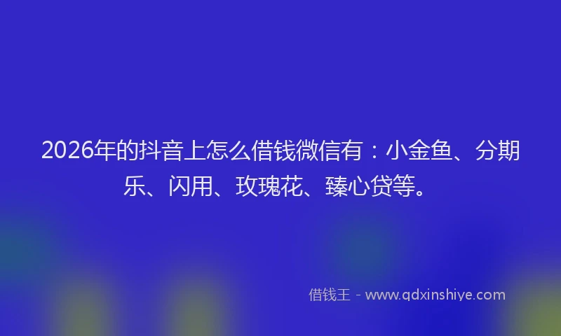 2026年的抖音上怎么借钱微信有：小金鱼、分期乐、闪用、玫瑰花、臻心贷等。