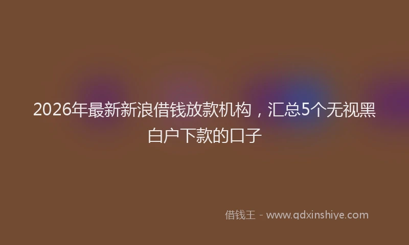2026年最新新浪借钱放款机构，汇总5个无视黑白户下款的口子