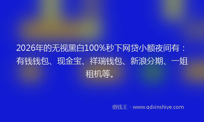 2026年的无视黑白100%秒下网贷小额夜间有：有钱钱包、现金宝、祥瑞钱包、新浪分期、一姐租机等。