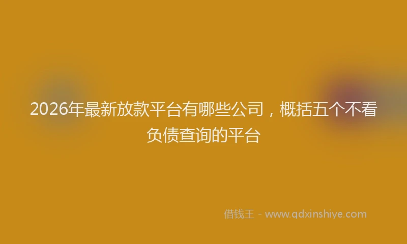 2026年最新放款平台有哪些公司，概括五个不看负债查询的平台