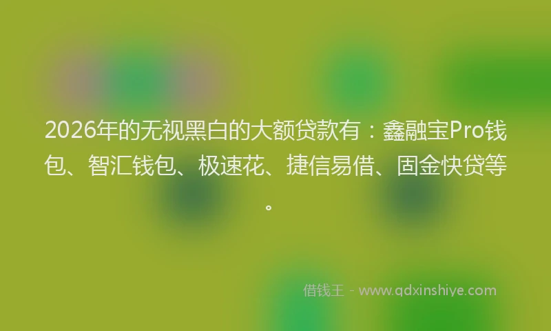2026年的无视黑白的大额贷款有：鑫融宝Pro钱包、智汇钱包、极速花、捷信易借、固金快贷等。
