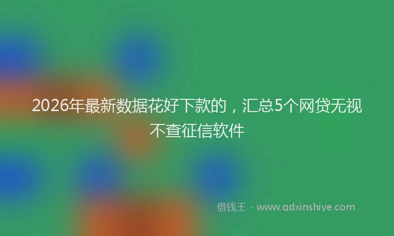 2026年最新数据花好下款的，汇总5个网贷无视不查征信软件