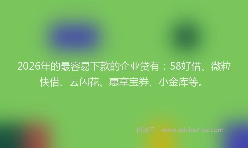 2026年的最容易下款的企业贷有：58好借、微粒快借、云闪花、惠享宝券、小金库等。
