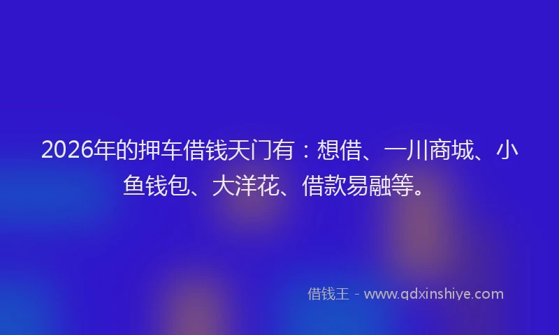 2026年的押车借钱天门有：想借、一川商城、小鱼钱包、大洋花、借款易融等。