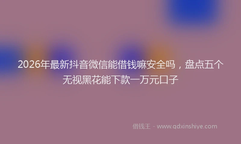 2026年最新抖音微信能借钱嘛安全吗，盘点五个无视黑花能下款一万元口子