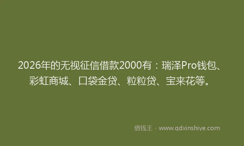2026年的无视征信借款2000有：瑞泽Pro钱包、彩虹商城、口袋金贷、粒粒贷、宝来花等。