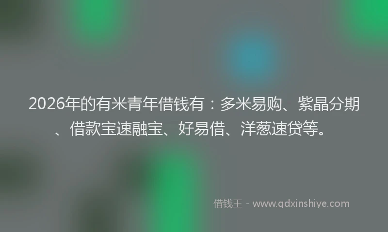 2026年的有米青年借钱有：多米易购、紫晶分期、借款宝速融宝、好易借、洋葱速贷等。